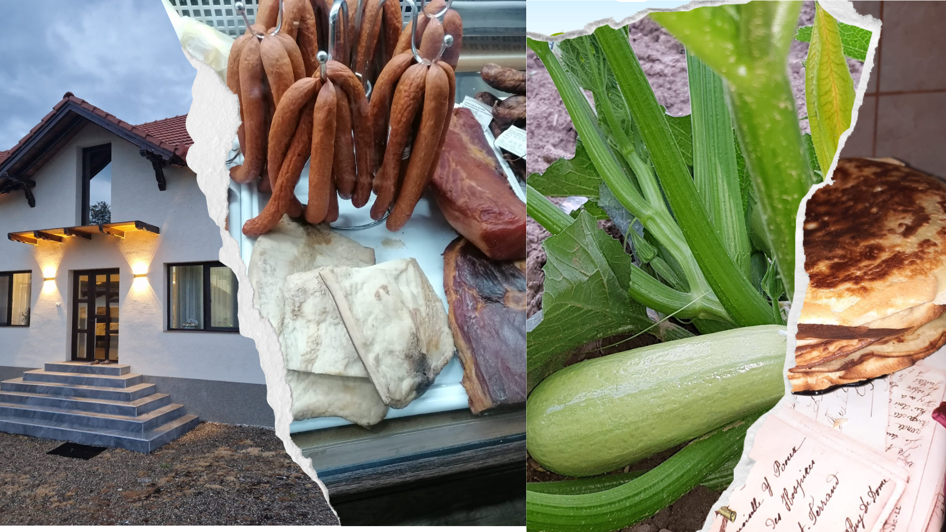 Gruescu Adrian Nicușor II