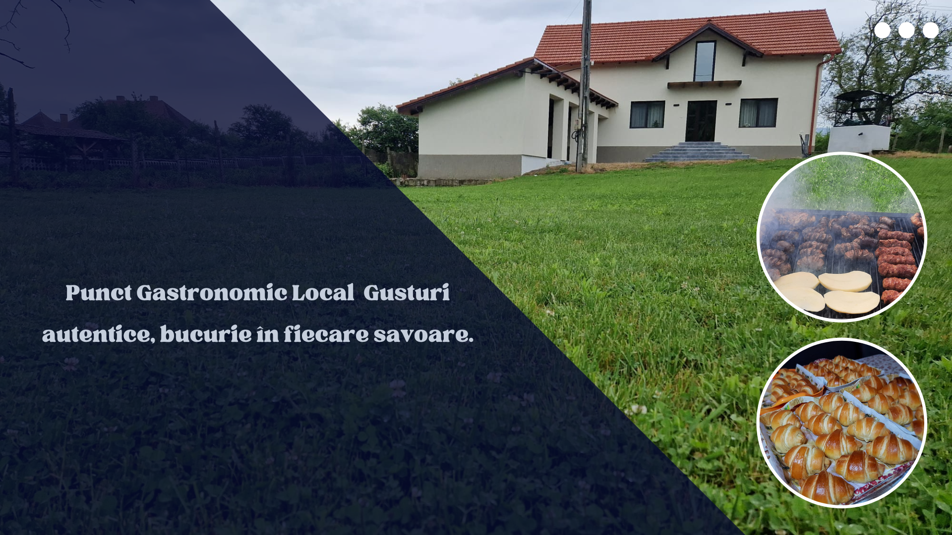 Gruescu Adrian Nicușor II